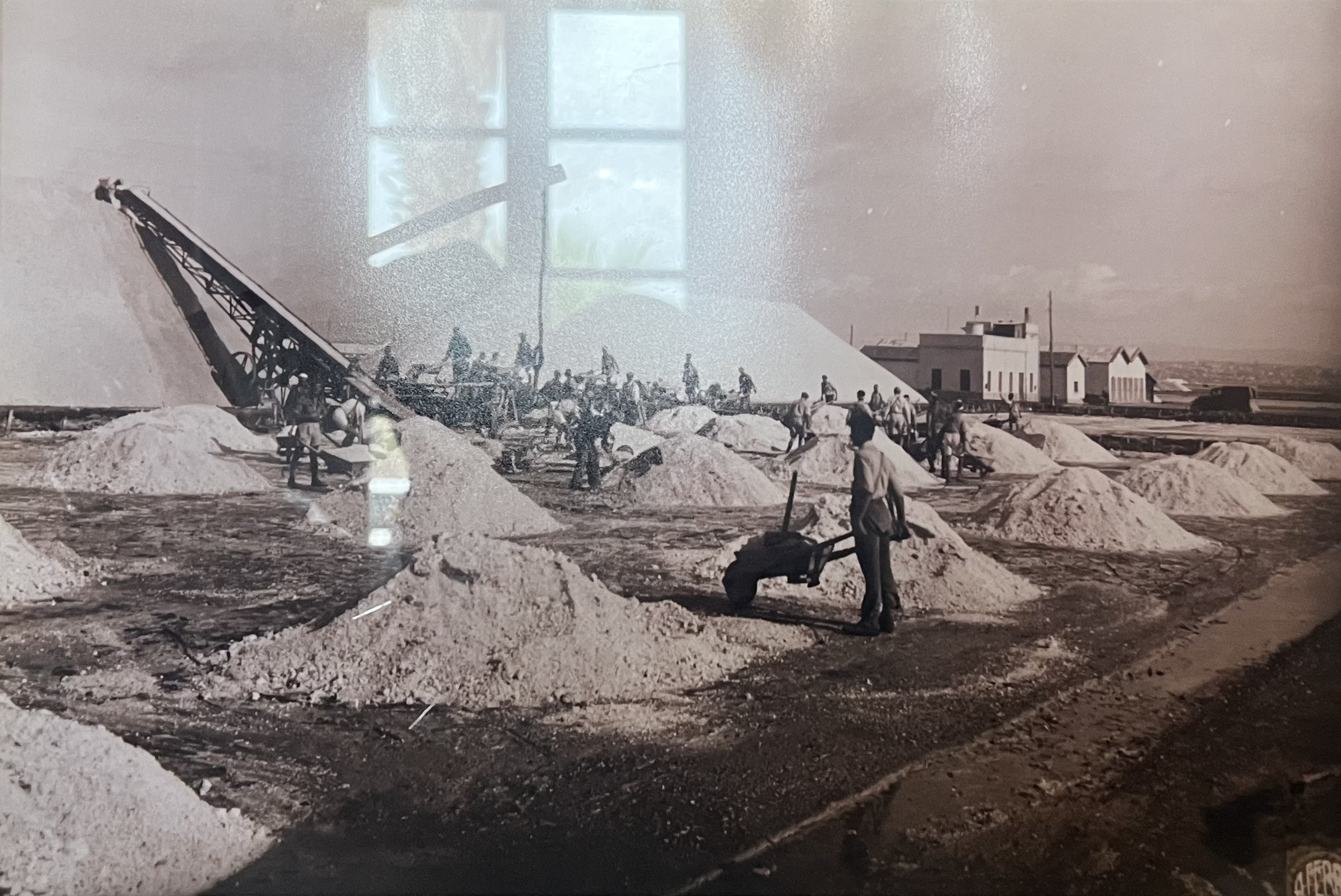 Archival black and white photograph of workers harvesting salt at Saline Conti Vecchi