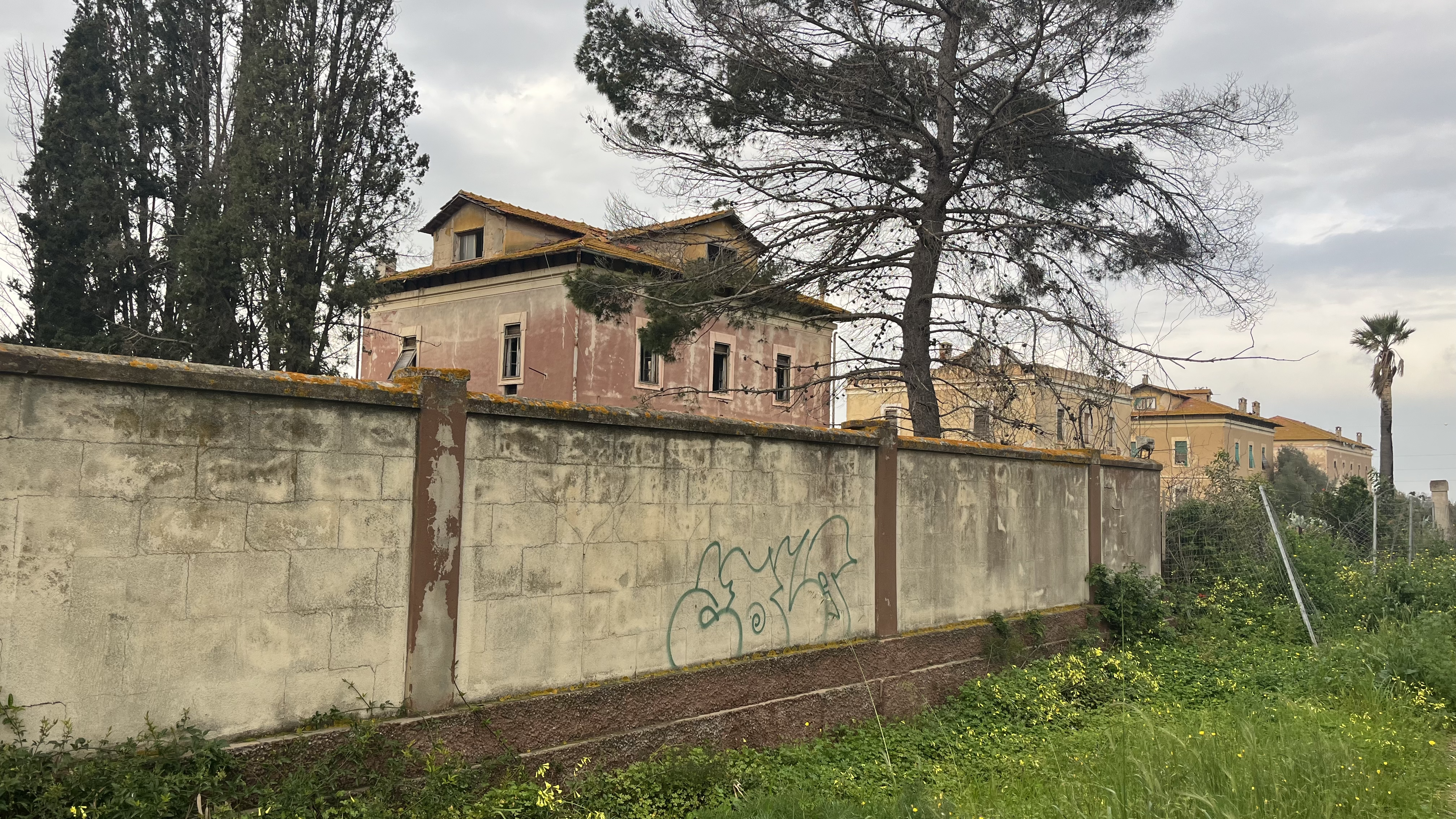 Crumbling village buildings behind a concrete wall covered in graffiti, trees growing unchecked